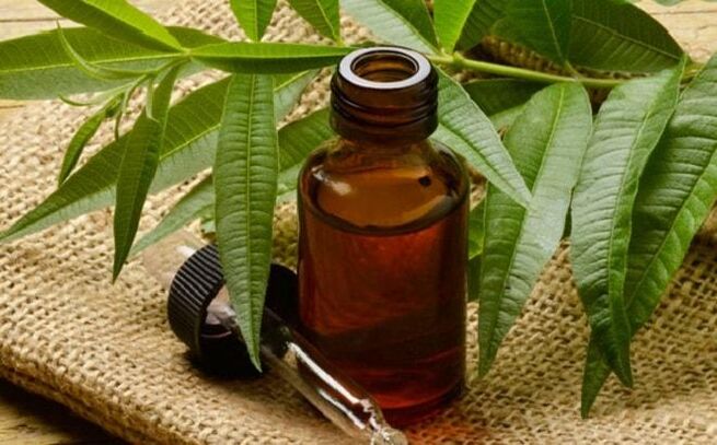Olejek z drzewa herbacianego – ludowy środek na usuwanie brodawek na penisie